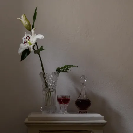 فندق For Seasons Mansion